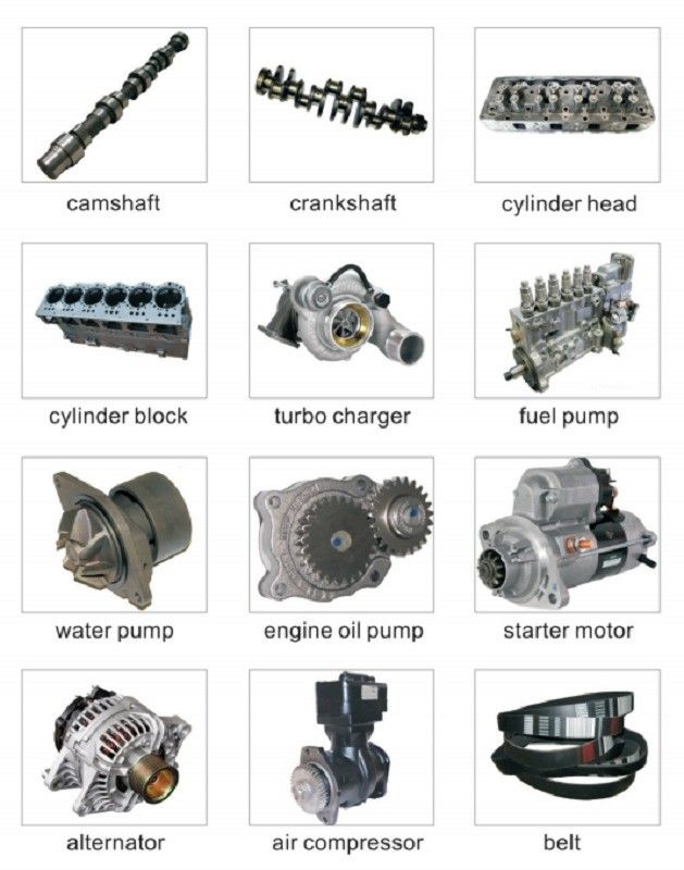 আসল রঙ অটো পার্টস বায়ু গ্রহণ ফিল্টার উপাদান B222100000641 Sany Excavator জন্য